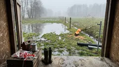 Dlaczego bobry i wilki kosztują Warmię i Mazury miliony? Prewencja, zanim pole zamieni się w poligon