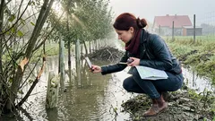 Szkody po bobrach: gdzie zgłosić, jakie terminy pilnują sprawy i co przygotować, żeby nie utknąć na papierach
