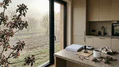 Przymrozki 2025 w sadach: komu przysługiwała pomoc i dlaczego nie każdy ją dostał