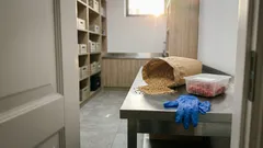 UE otwiera rynek na żywność spoza Wspólnoty. Polska chce jednego warunku — dlaczego?